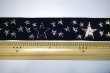 画像4: 【150ｃｍ】キンキラお星さまのチロル★